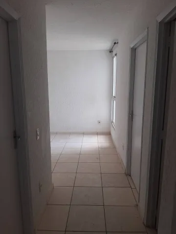 imagem 3 - Apartamento à venda no Condomínio Vida Nova 1 em Americana/SP imagem 3 - Apartamento à venda no Condomínio Vida Nova 1 em Americana/SP