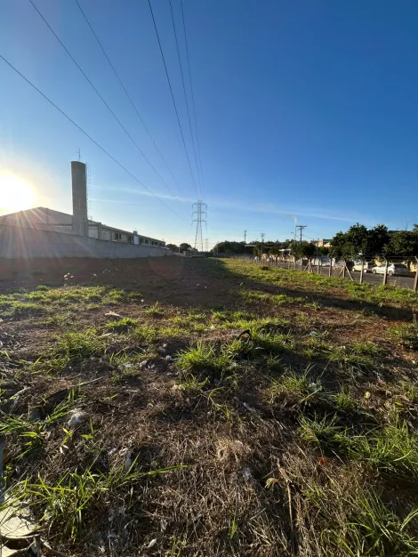 imagem 1 - Terreno industrial disponível para alugar no bairro Vila Dainese em Americana/SP. imagem 1 - Terreno industrial disponível para alugar no bairro Vila Dainese em Americana/SP.