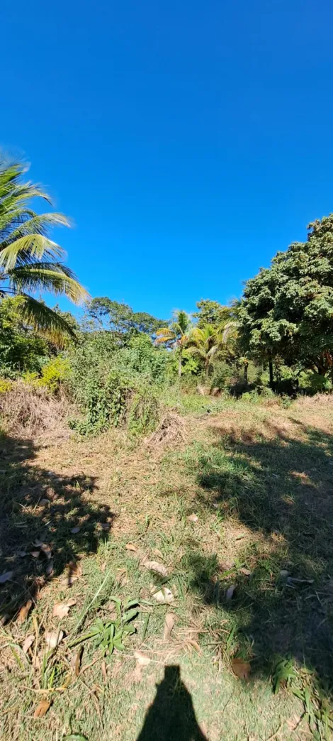 imagem 2 - Terreno à venda e para alugar no bairro Balneário Salto Grande em Americana/SP. imagem 2 - Terreno à venda e para alugar no bairro Balneário Salto Grande em Americana/SP.
