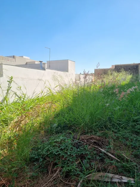 imagem 1 - Terreno à venda por R$330.000,00 no bairro Jardim São Domingos em Americana/SP imagem 1 - Terreno à venda por R$330.000,00 no bairro Jardim São Domingos em Americana/SP