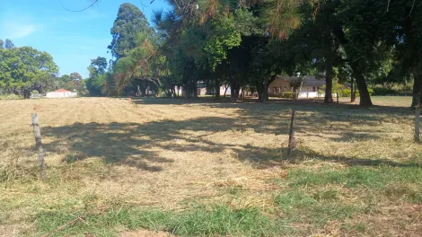 imagem 1 - Terreno à venda no bairro Parque Industrial Fritz Bersin em Nova Odessa/SP imagem 1 - Terreno à venda no bairro Parque Industrial Fritz Bersin em Nova Odessa/SP