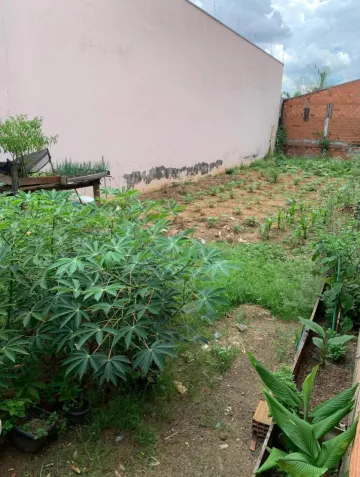 imagem 3 - Terreno à venda no bairro Jardim da Balsa II em Americana/SP imagem 3 - Terreno à venda no bairro Jardim da Balsa II em Americana/SP