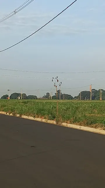 imagem 1 - Terreno à venda no bairro Terra de Cillo em Santa Bárbara d`Oeste/SP imagem 1 - Terreno à venda no bairro Terra de Cillo em Santa Bárbara d`Oeste/SP
