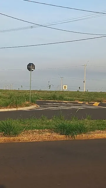 imagem 3 - Terreno à venda no bairro Terra de Cillo em Santa Bárbara d`Oeste/SP imagem 3 - Terreno à venda no bairro Terra de Cillo em Santa Bárbara d`Oeste/SP